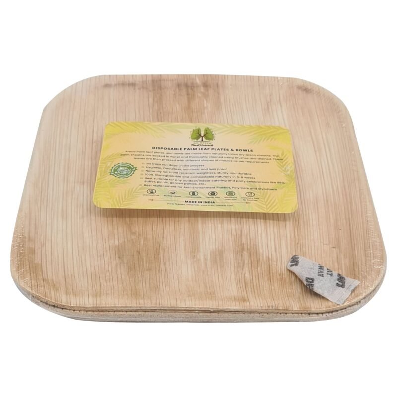 Disposable Palm Leaf Plate 8" Square Pack of 25 |Eco-Friendly Plates | Pearl Naturals - Image 4