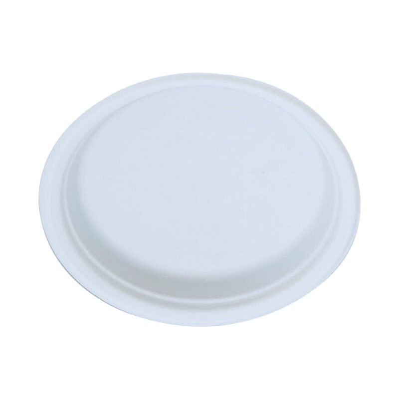 Disposable Sugarcane Bagasse  8.86" Round Plate Pack of 25/ Wholesale 25pcs | Pearl Naturals - Image 3